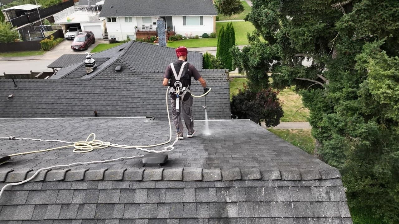 Roof Soft Wash
