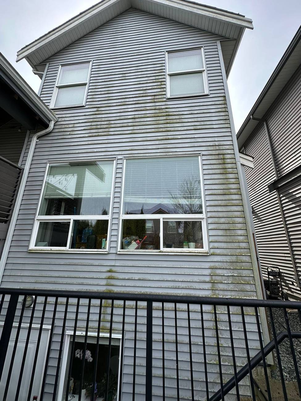 Home siding before washing, streaked with moss and algae