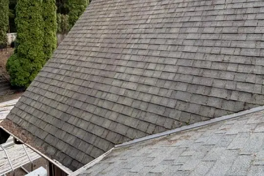Clean roof after soft washing
