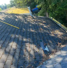 Roof soft washing and gutter cleaning in Surrey BC