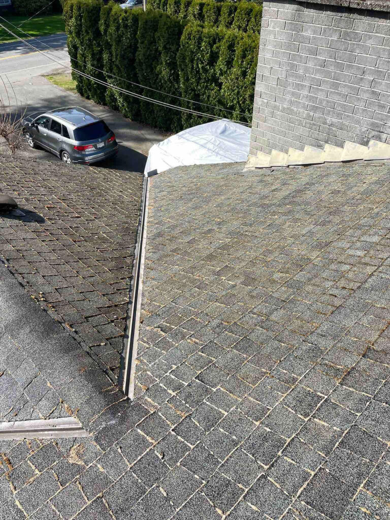 Gutter-Cleaning-6