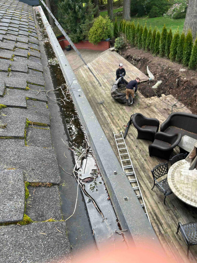 Gutter-Cleaning-8