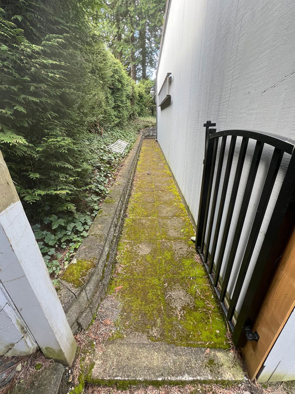 exterior-wash-10