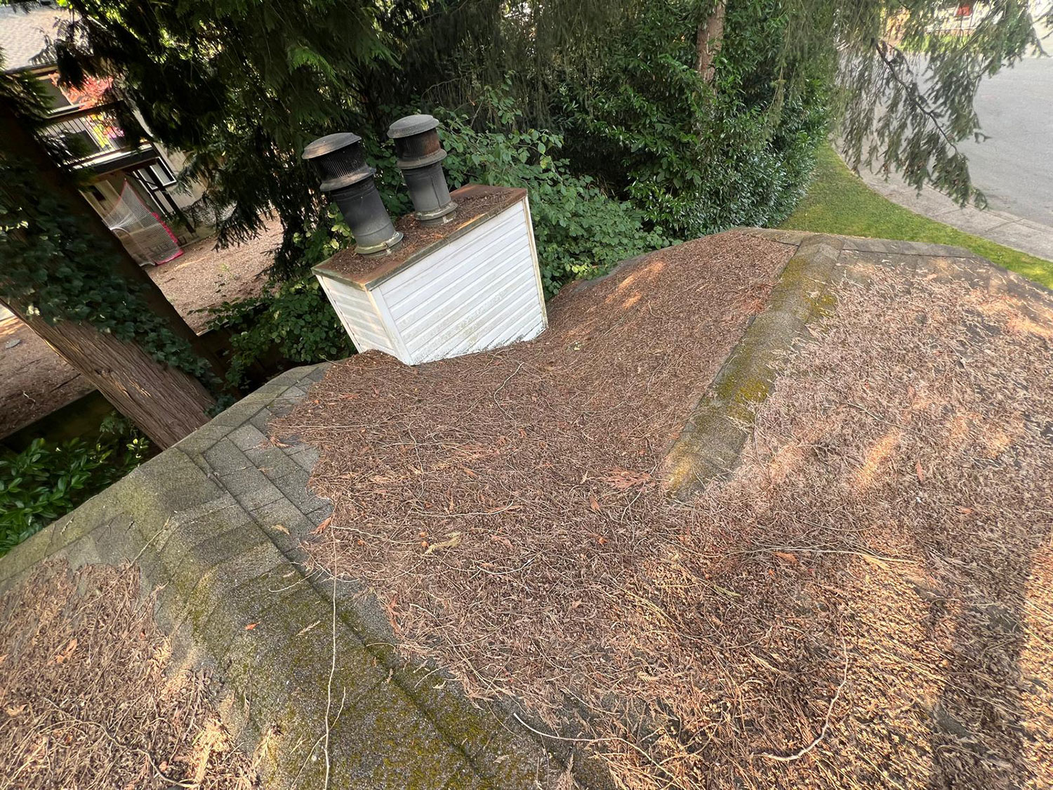 pressure-wash-1